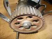 Fuel pump gear (pulley)