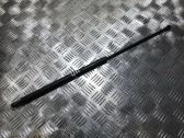 Tailgate/trunk strut/damper