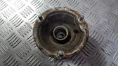 Coil spring mount