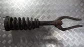 Front shock absorber/damper