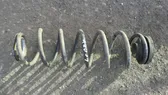 Rear coil spring