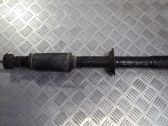 Rear shock absorber/damper