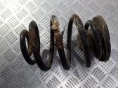 Muelle espiral trasero