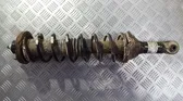 Muelle espiral trasero