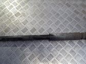 Rear shock absorber/damper