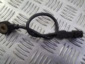 Sensor de petardeo del motor