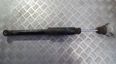 Rear shock absorber/damper