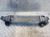 Intercooler radiator