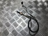 Sensor de temperatura del escape