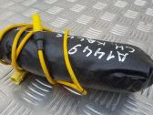 Airbag de la puerta delantera