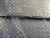 Listón embellecedor de la puerta delantera (moldura)