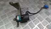 Gaspedal