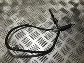 Exhaust gas temperature sensor