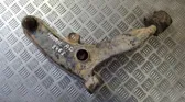 Front lower control arm/wishbone