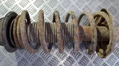 Front coil spring