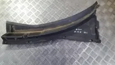 Moldura del limpia