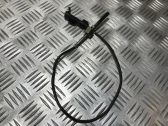 Exhaust gas temperature sensor