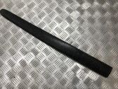 Listón embellecedor de la puerta delantera (moldura)