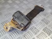 Cinturón medio (trasero)