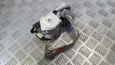Sicherheitsgurt hinten