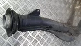 Fuel tank filler neck pipe