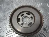 Fuel pump gear (pulley)