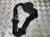Cinturón trasero