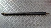 Stoßdämpfer hinten