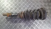 Front coil spring