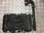 Intercooler radiator