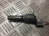 Camshaft pulley/ VANOS