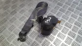 Cinturón medio (trasero)