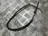 Exhaust gas temperature sensor