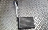 Heater blower radiator