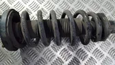 Front coil spring