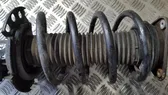 Front coil spring