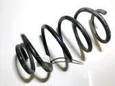 Front coil spring