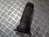 Lagerbock Federbein