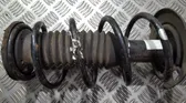 Front coil spring