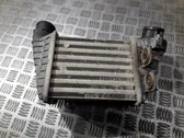 Intercooler radiator