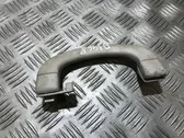 Front interior roof grab handle