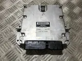 Calculateur moteur ECU