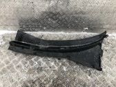 Moldura del limpia