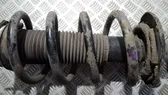 Front coil spring