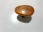 Front fender indicator light
