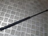Tailgate/trunk strut/damper