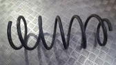 Front coil spring