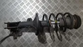Front shock absorber/damper