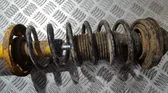 Rear coil spring