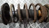 Front coil spring